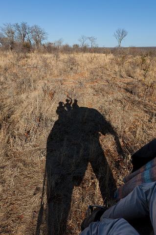 015 Zimbabwe, olifantentocht.jpg